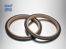 阶梯组合密封圈 DSJ